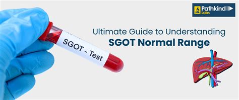 sgot normal range